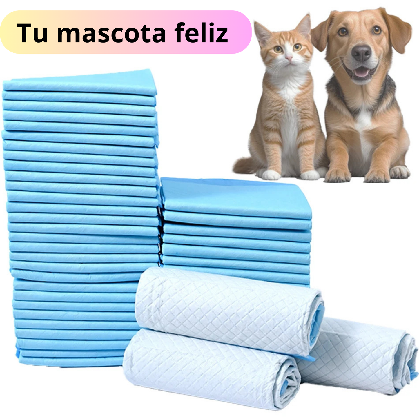Pañales absorbentes para perros