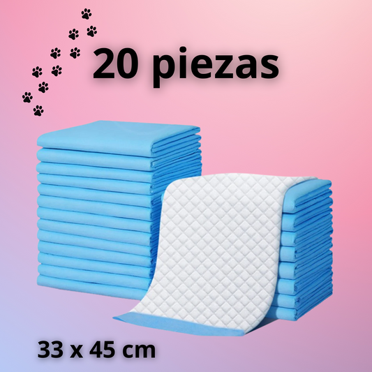 Pañales absorbentes para perros